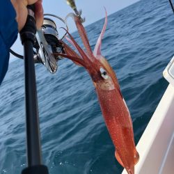 「LaGooN」蒼陽丸 日和号 釣果