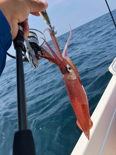 「LaGooN」蒼陽丸 日和号 釣果