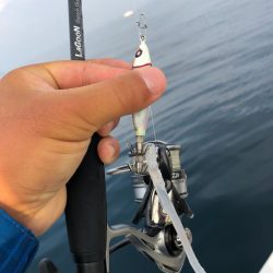 「LaGooN」蒼陽丸 日和号 釣果