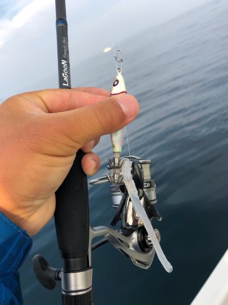 「LaGooN」蒼陽丸 日和号 釣果