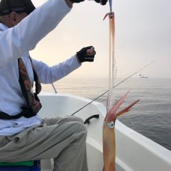 「LaGooN」蒼陽丸 日和号 釣果