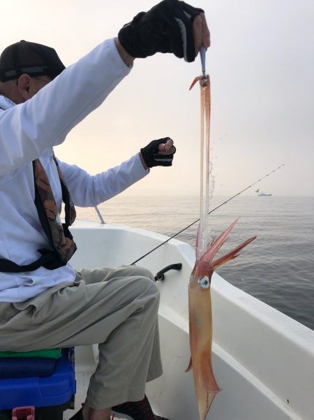 「LaGooN」蒼陽丸 日和号 釣果