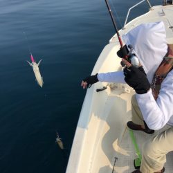 「LaGooN」蒼陽丸 日和号 釣果