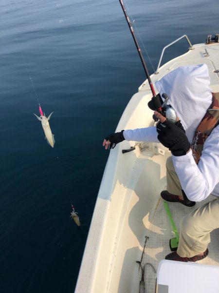 「LaGooN」蒼陽丸 日和号 釣果