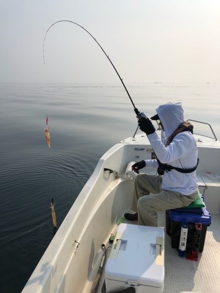 「LaGooN」蒼陽丸 日和号 釣果