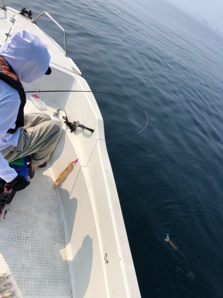 「LaGooN」蒼陽丸 日和号 釣果