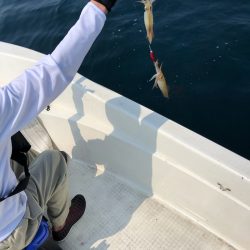 「LaGooN」蒼陽丸 日和号 釣果