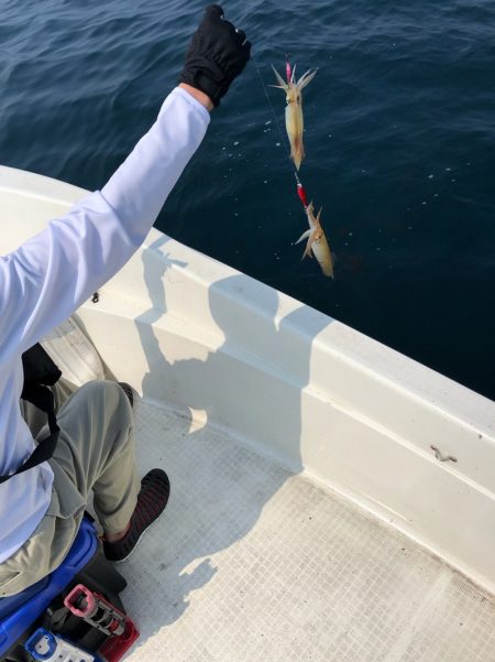 「LaGooN」蒼陽丸 日和号 釣果