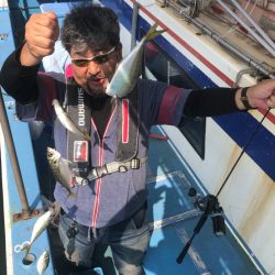 ヤザワ渡船 釣果