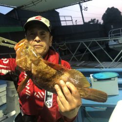 ヤザワ渡船 釣果