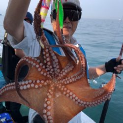 ヤザワ渡船 釣果