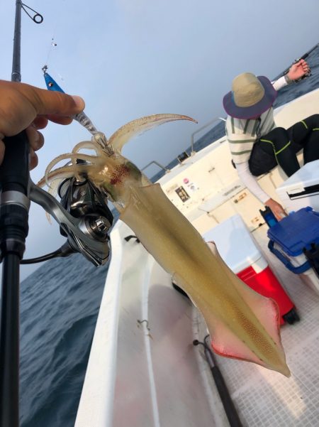 「LaGooN」蒼陽丸 日和号 釣果