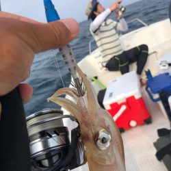 「LaGooN」蒼陽丸 日和号 釣果