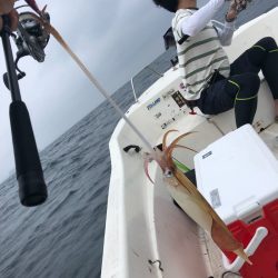 「LaGooN」蒼陽丸 日和号 釣果