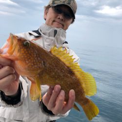 あみや渡船 JIGBOY 釣果