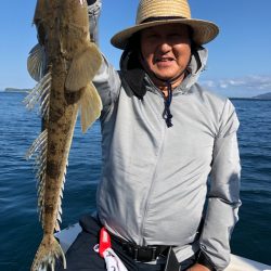「LaGooN」蒼陽丸 日和号 釣果