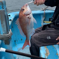 みやけ丸 釣果