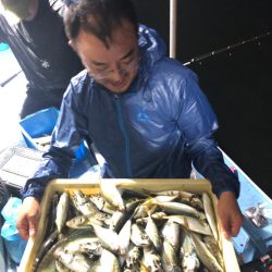 ヤザワ渡船 釣果
