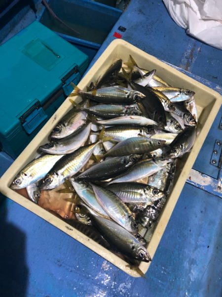 ヤザワ渡船 釣果