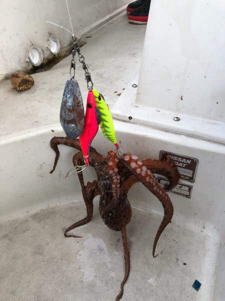 末広丸(熊本) 釣果