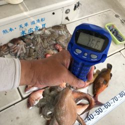 末広丸(熊本) 釣果