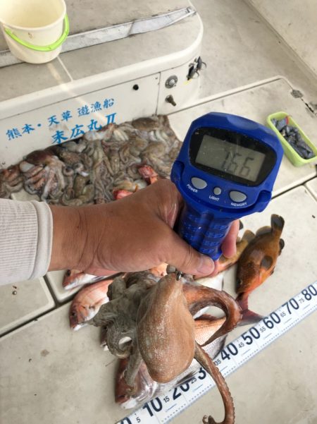 末広丸(熊本) 釣果