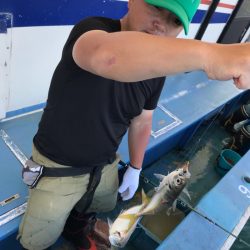 ヤザワ渡船 釣果