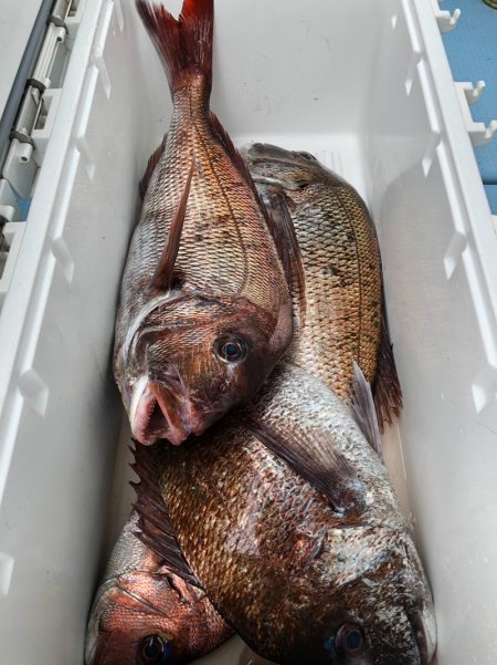 第二八坂丸 釣果