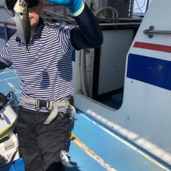 ヤザワ渡船 釣果