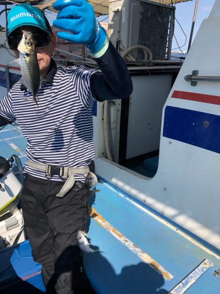 ヤザワ渡船 釣果