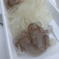 「LaGooN」蒼陽丸 日和号 釣果