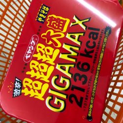 「LaGooN」蒼陽丸 日和号 釣果