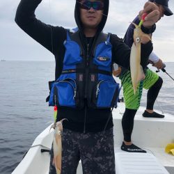 「LaGooN」蒼陽丸 日和号 釣果