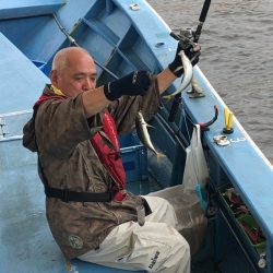 ヤザワ渡船 釣果