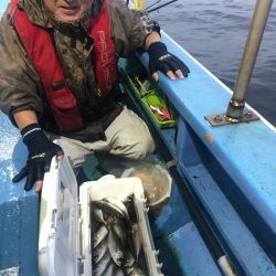 ヤザワ渡船 釣果