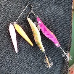 末広丸(熊本) 釣果