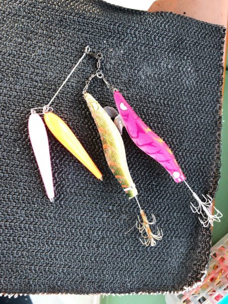 末広丸(熊本) 釣果