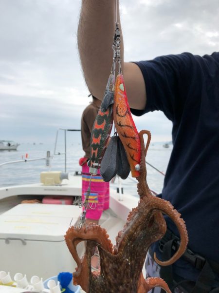 末広丸(熊本) 釣果