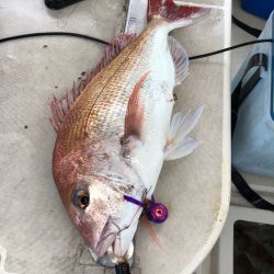 末広丸(熊本) 釣果