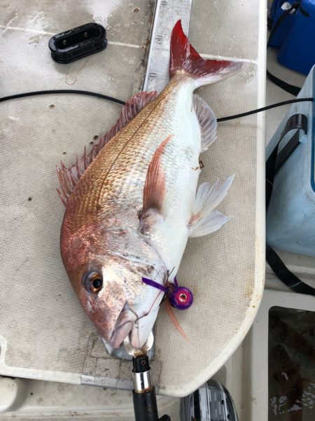 末広丸(熊本) 釣果