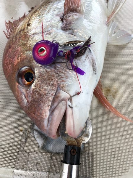 末広丸(熊本) 釣果