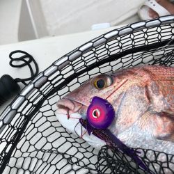 末広丸(熊本) 釣果