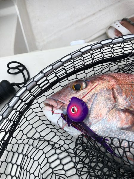 末広丸(熊本) 釣果