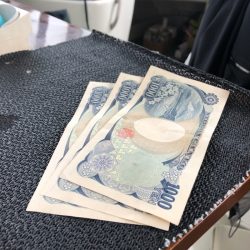 末広丸(熊本) 釣果