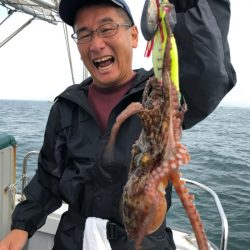 ビッグファイター 釣果