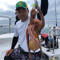 ビッグファイター 釣果