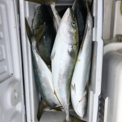 うさぎ丸 釣果