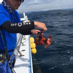 渡船屋たにぐち 釣果