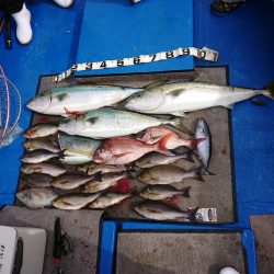 清和丸 釣果
