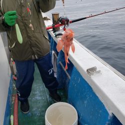 芳陽丸 釣果
